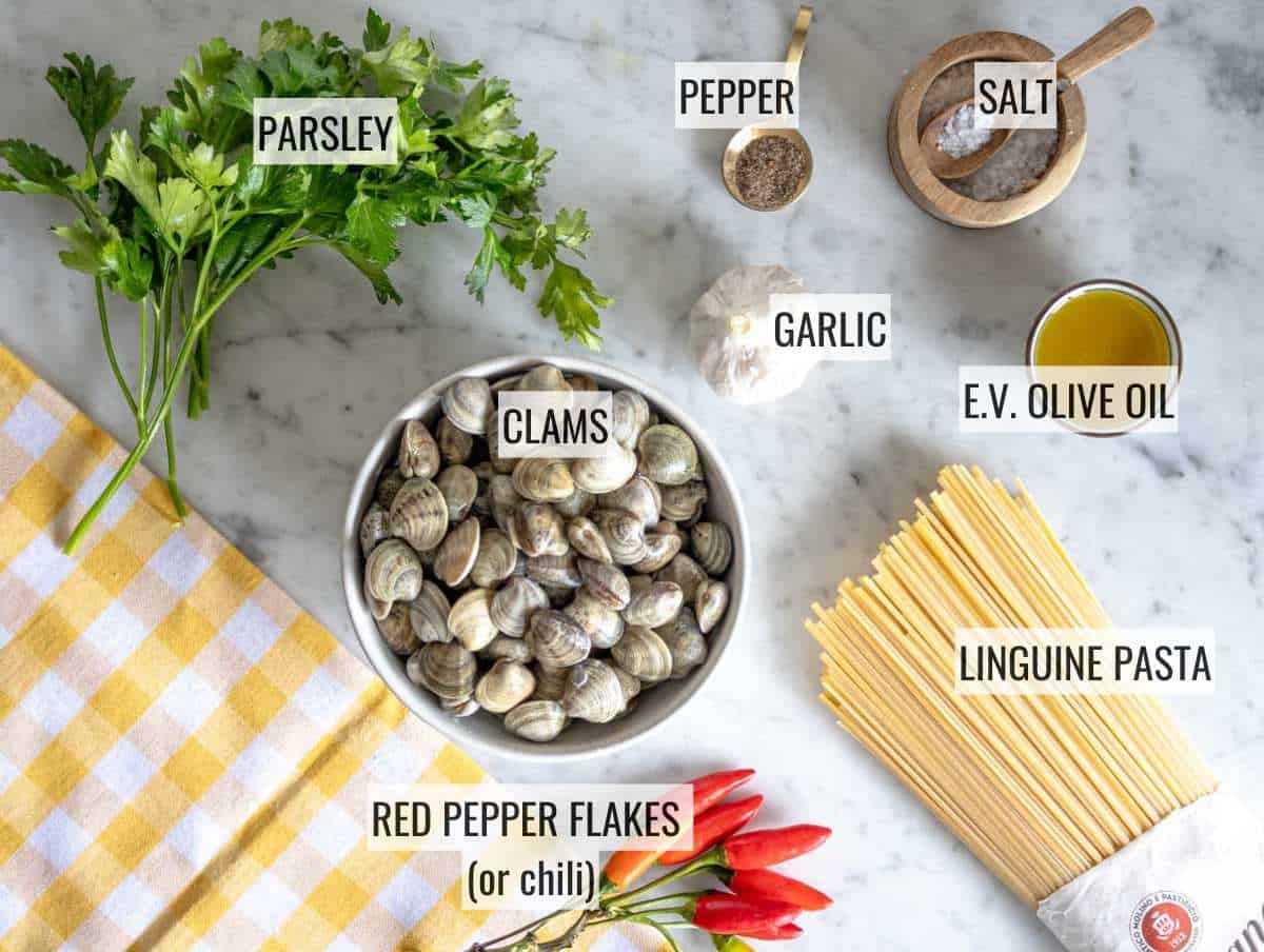 Ingredients for linguine with clam sauce