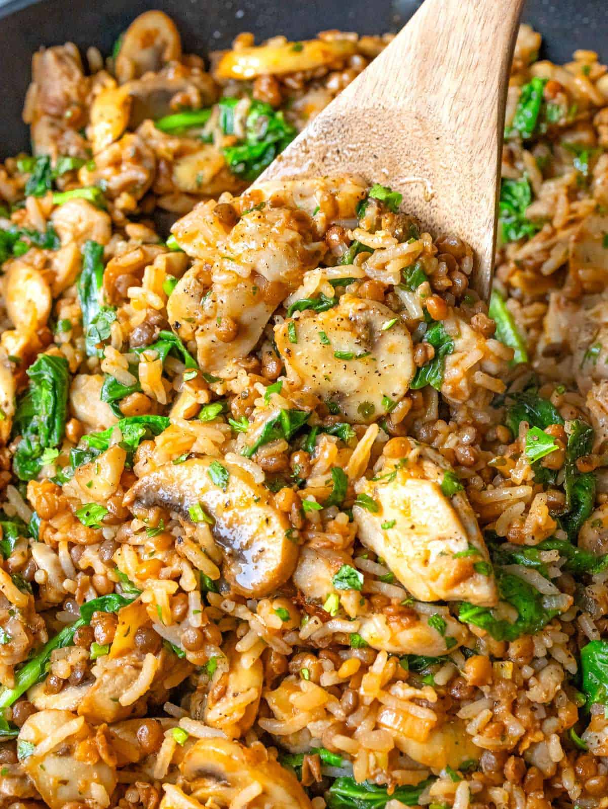Finished dish close-up Mediterranean chicken and rice stir fry with lentils and spinach.