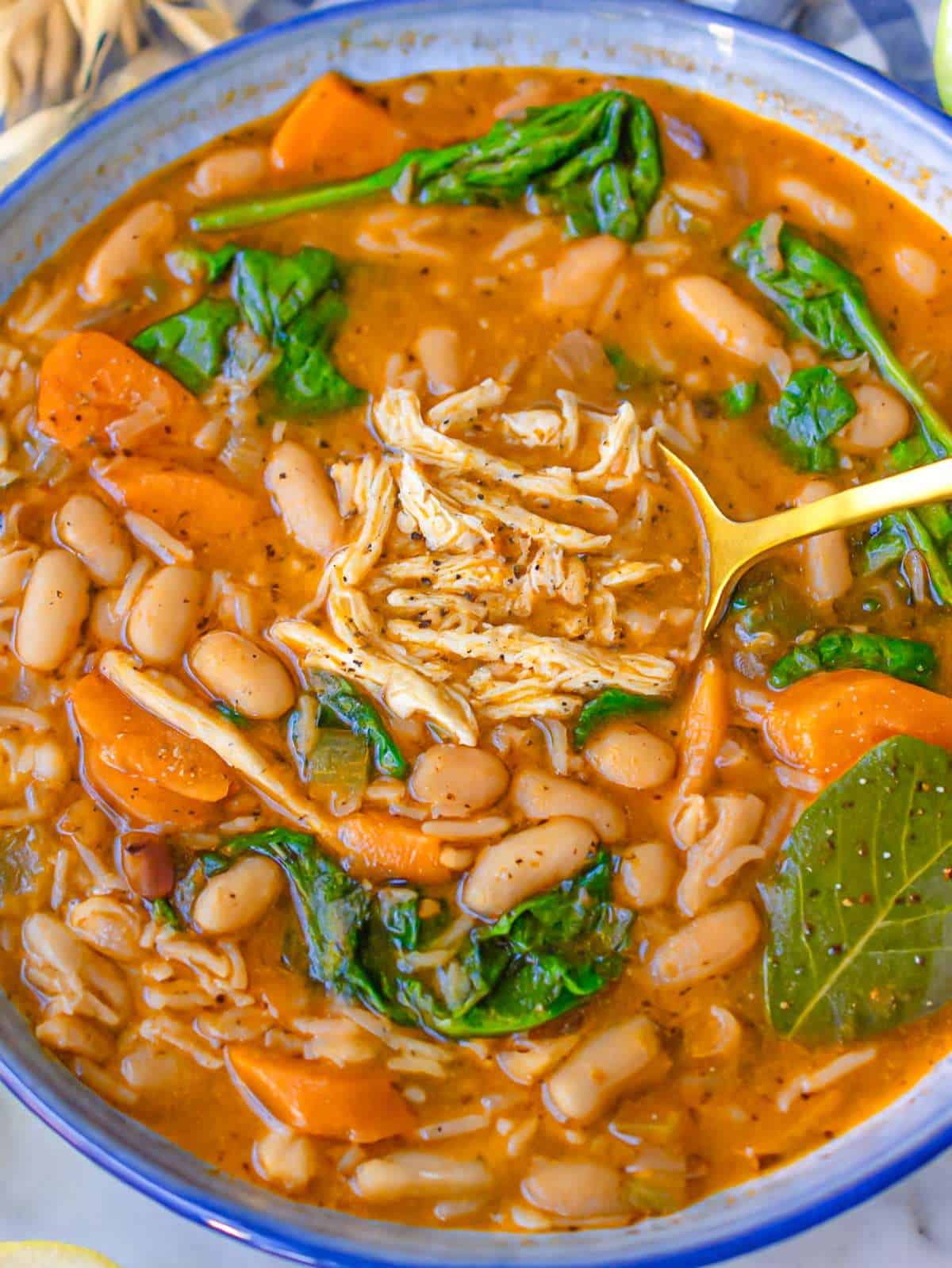 Cozy bowl of Greek chicken and bean stew with lemon and spinach shown in close-up.