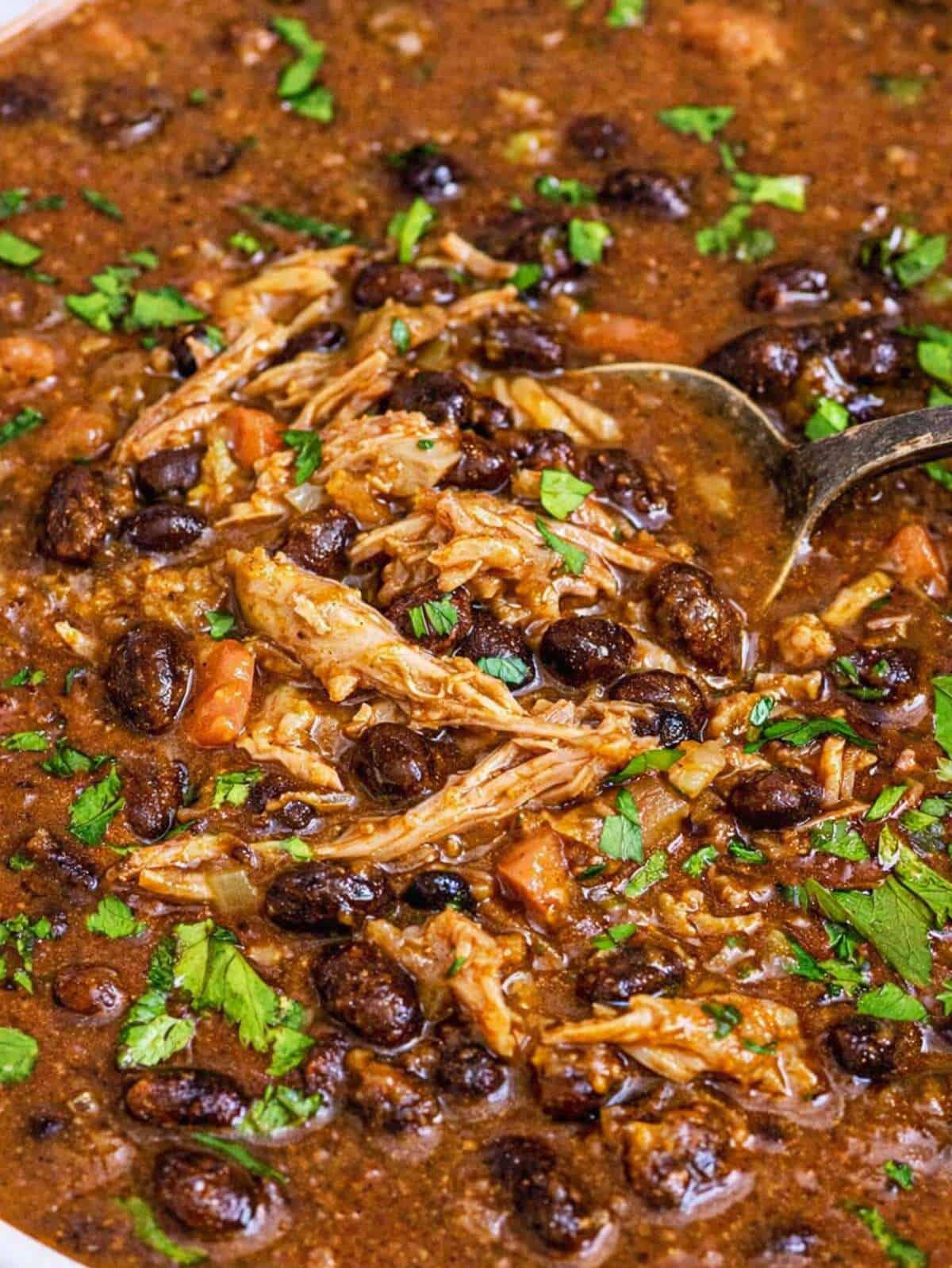 Close up of black bean chicken soup with shredded chicken and beans.