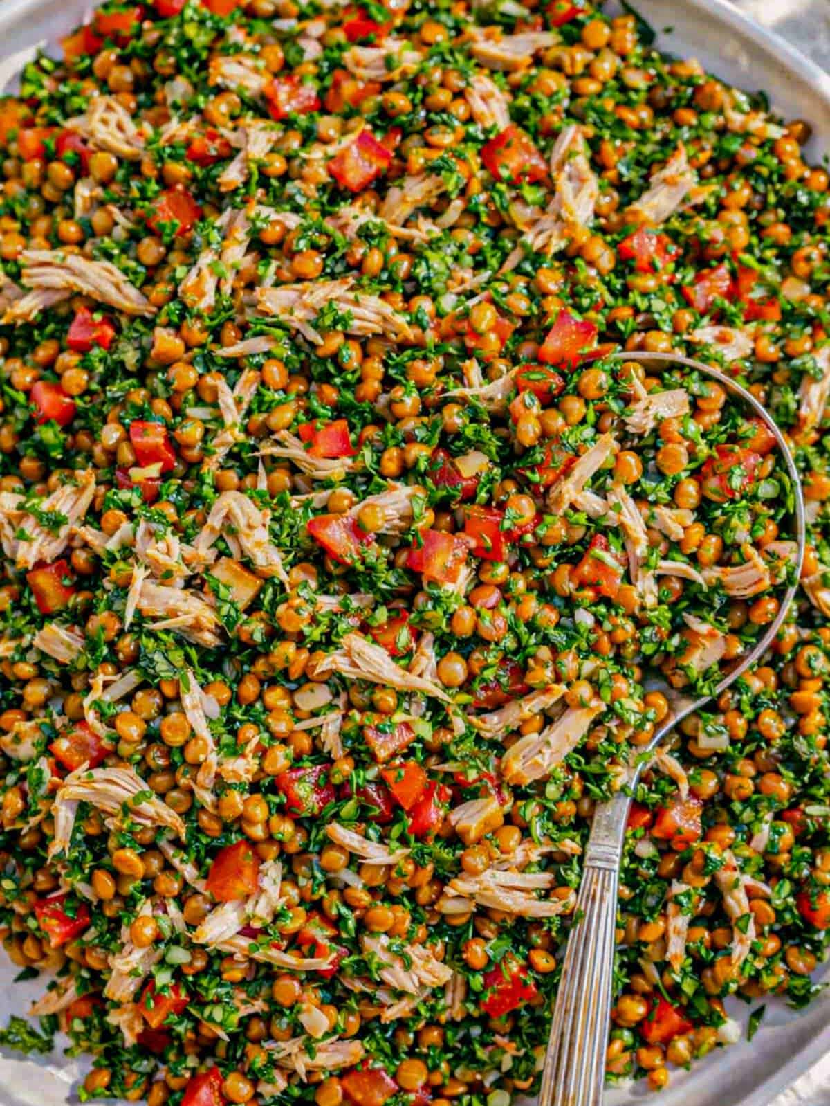 Large serving bowl of Mediterranean chicken lentil salad with wooden spoon.