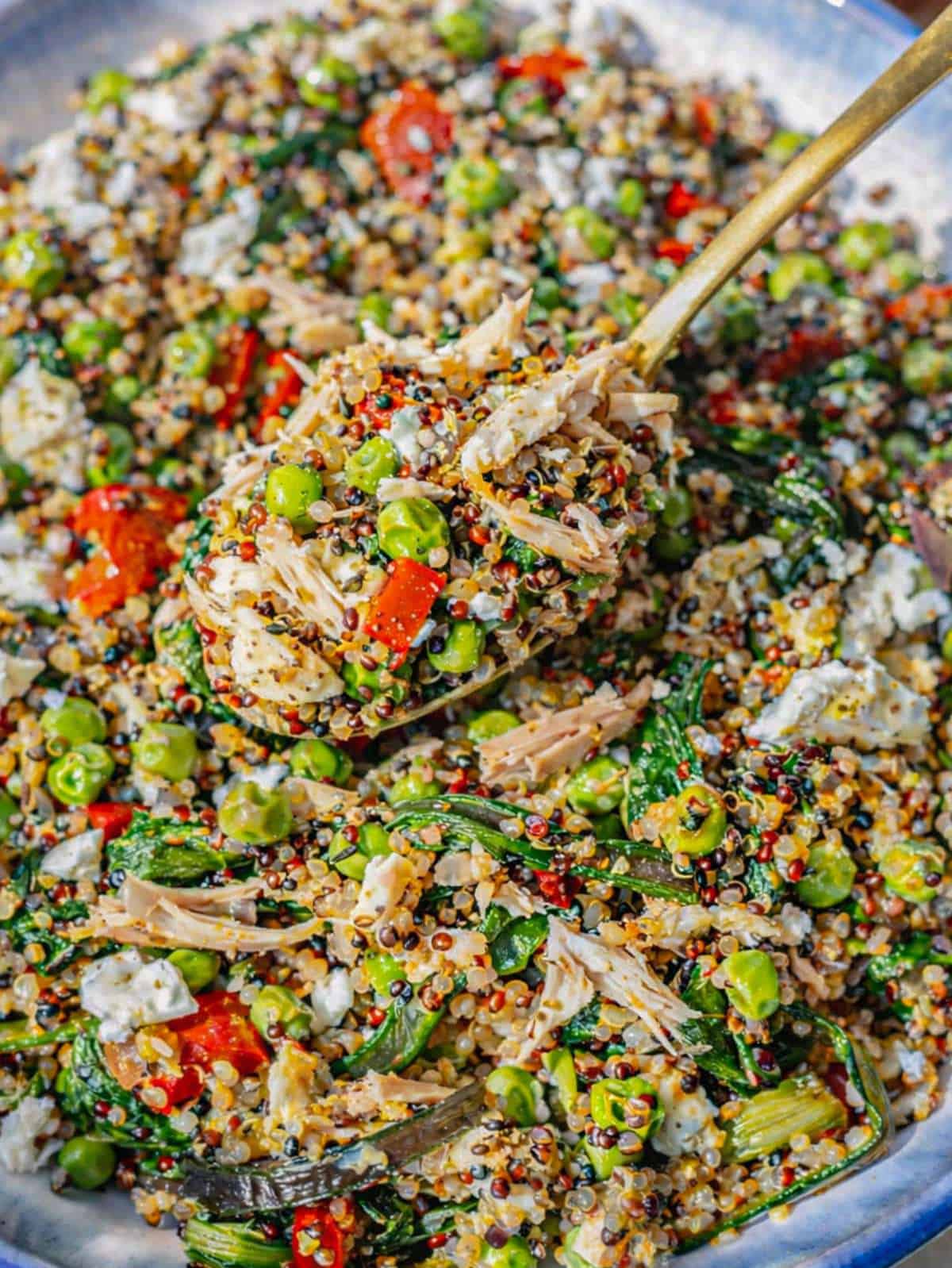 A vibrant bowl filled with chicken, toasted quinoa, and bright green spinach near a window.