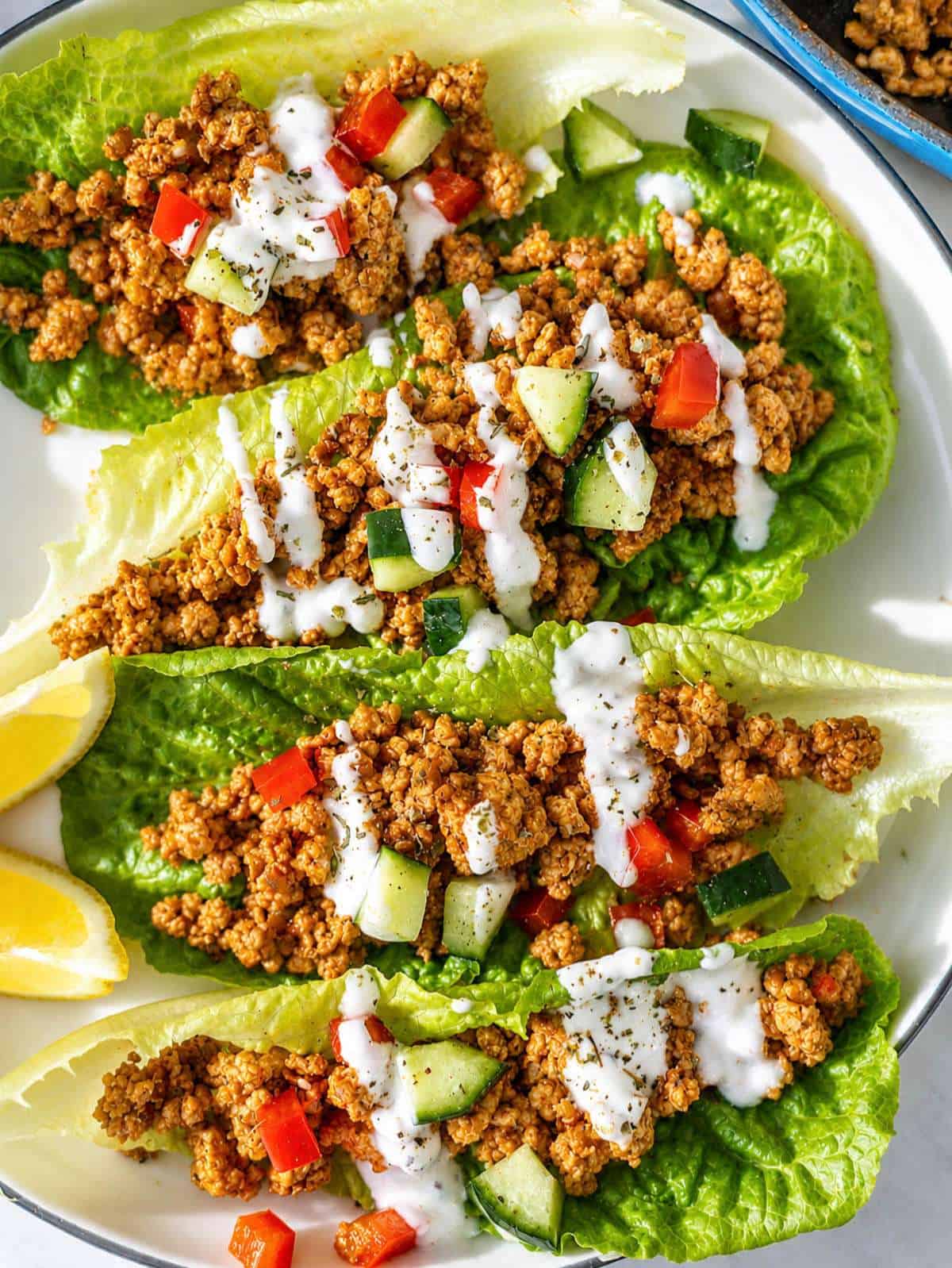 Close-up of juicy turkey lettuce wraps with yogurt sauce and fresh vegetables in natural window light.